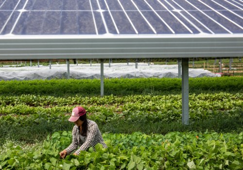 The Rise of Solar Energy in Nashville, Tennessee